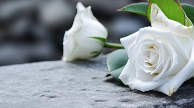 Wrongful Death